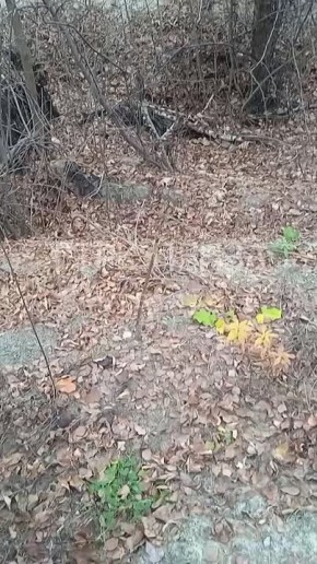 Зачем было ломать?. Таким вопросом о Детской железной дороге задался подписчик нашего Telegram-канала