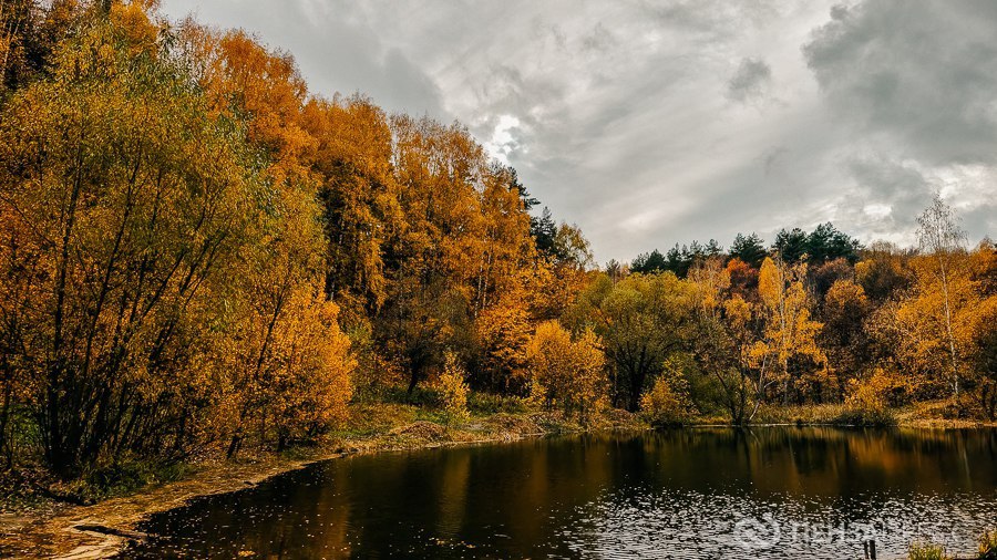 В Пензе 7 ноября ожидается до +10 градусов и небольшой дождь