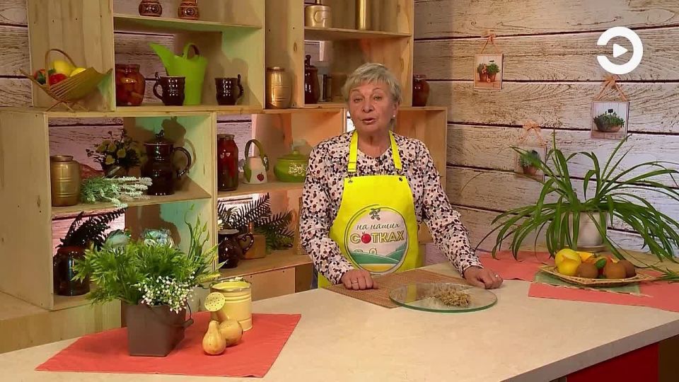 А вы часто забываете полить цветы?