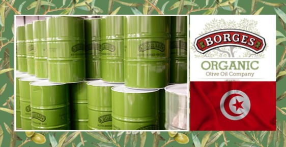 Европейцы активизируют инвестиции в тунисский оливковый сектор