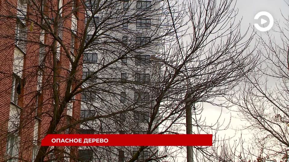 «СЛУЖБА БЫСТРОГО РЕАГИРОВАНИЯ»