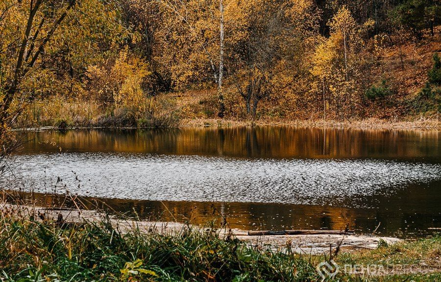 В Пензе 11 ноября ожидается до +10 градусов и небольшой дождь