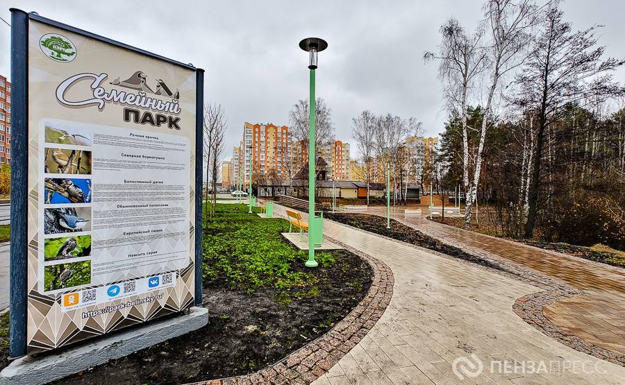 Как меняется сквер «Семейный» в Пензе Как меняется сквер «Семейный» в Пензе