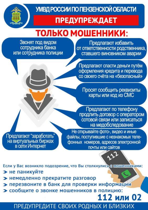 Знакомство с мужчиной в сети Интернет обернулось для пензячки потерей более 1 миллиона рублей