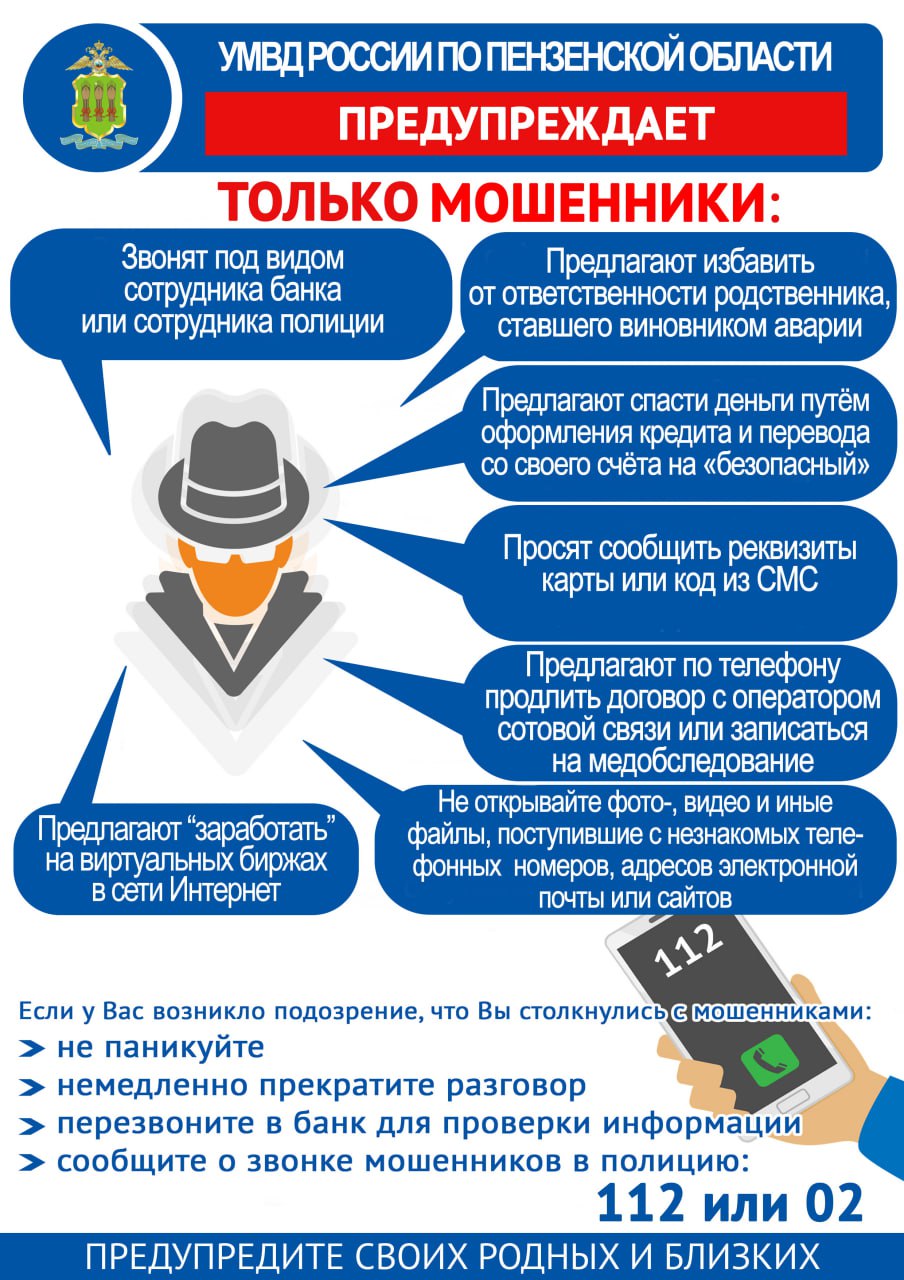 Знакомство с мужчиной в сети Интернет обернулось для пензячки потерей более 1 миллиона рублей