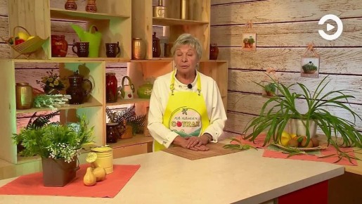 Летом наши сотки атаковали осы