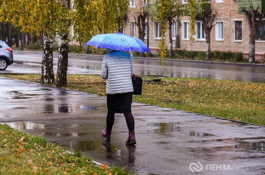 В Пензе 14 ноября ожидается до +10 градусов и дождь