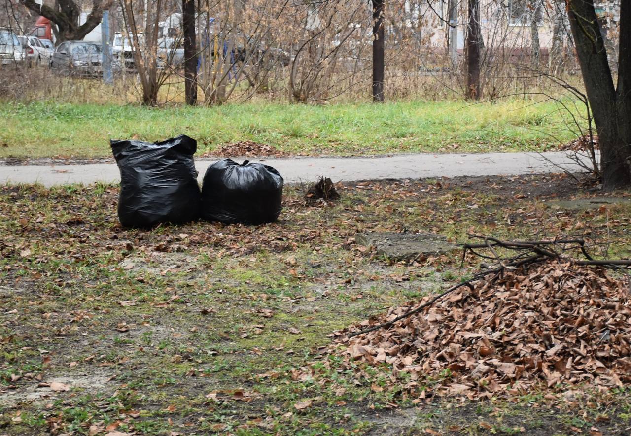 Олег Денисов: Месячник по благоустройству, который стартовал 1 ноября, достиг своего экватора Олег Денисов: Месячник по благоустройству, который стартовал 1 ноября, достиг своего экватора