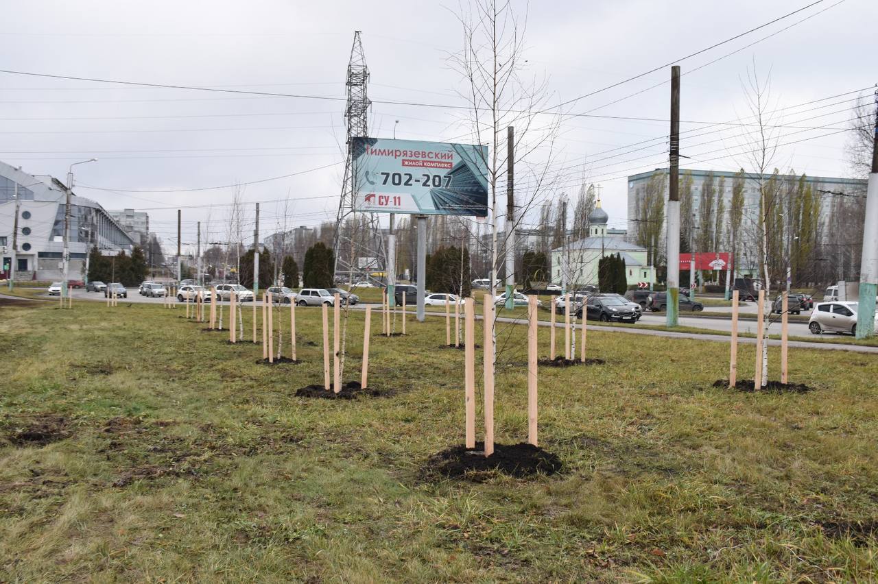 В микрорайоне Арбеково было высажено более 160 новых деревьев в рамках масштабной кампании по озеленению города, рассказал Олег Денисов в своих соцсетях В микрорайоне Арбеково было высажено более 160 новых деревьев в рамках масштабной кампании по озеленению города, рассказал Олег Денисов в своих соцсетях