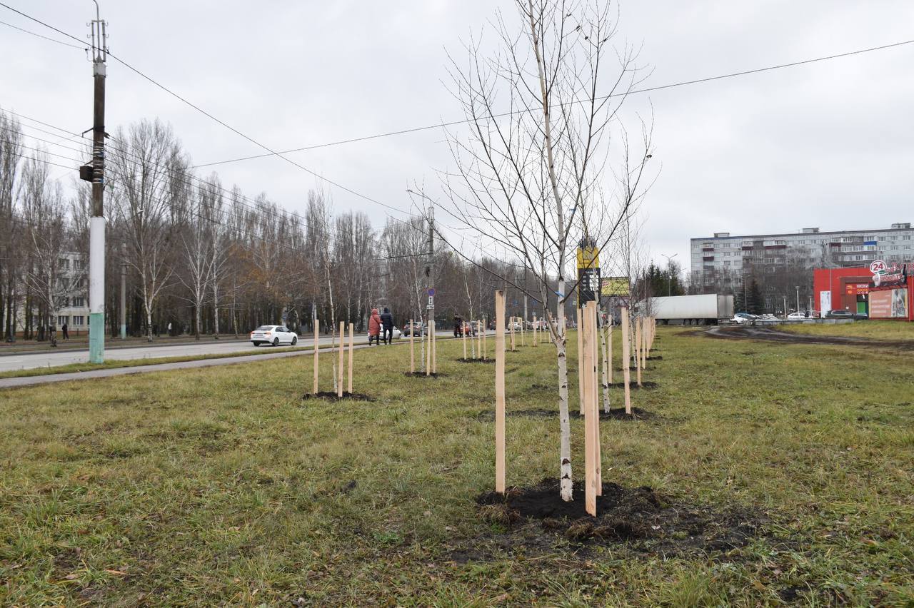 В микрорайоне Арбеково было высажено более 160 новых деревьев в рамках масштабной кампании по озеленению города, рассказал Олег Денисов в своих соцсетях В микрорайоне Арбеково было высажено более 160 новых деревьев в рамках масштабной кампании по озеленению города, рассказал Олег Денисов в своих соцсетях