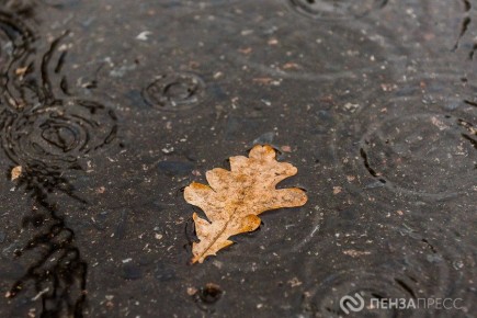 В Пензе 15 ноября ожидается до +8 градусов и небольшой дождь