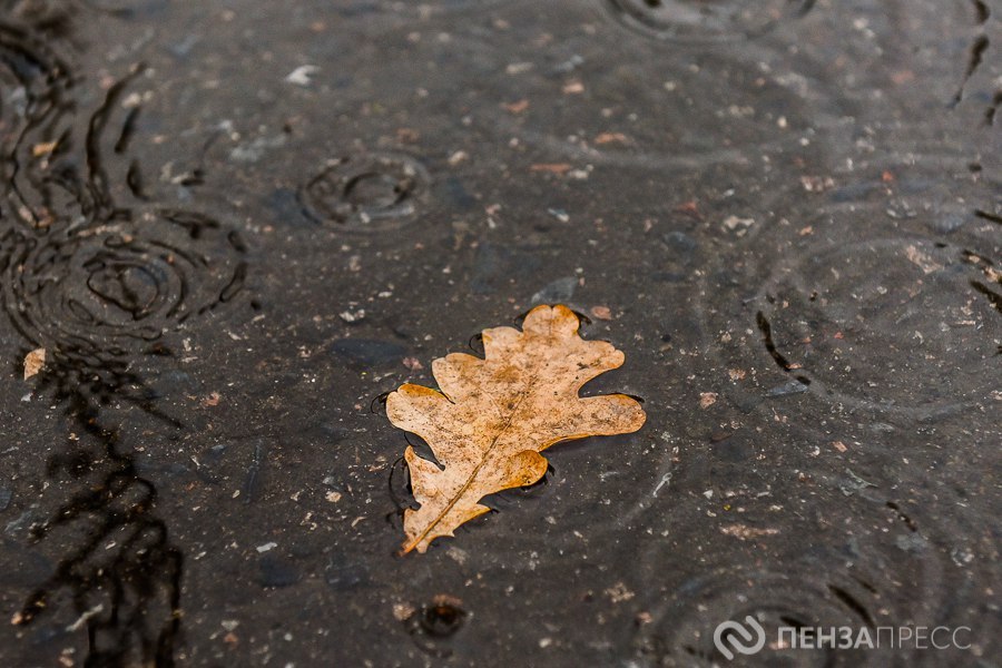 В Пензе 15 ноября ожидается до +8 градусов и небольшой дождь