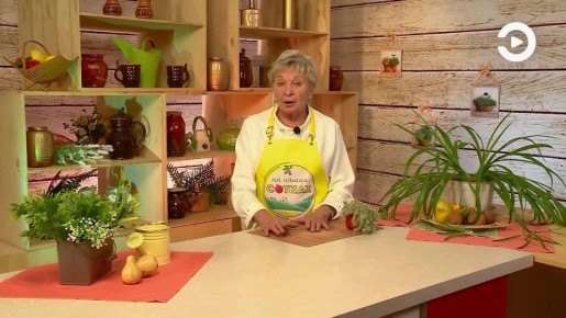 Кактус – самый интересный обитатель домашних подоконников