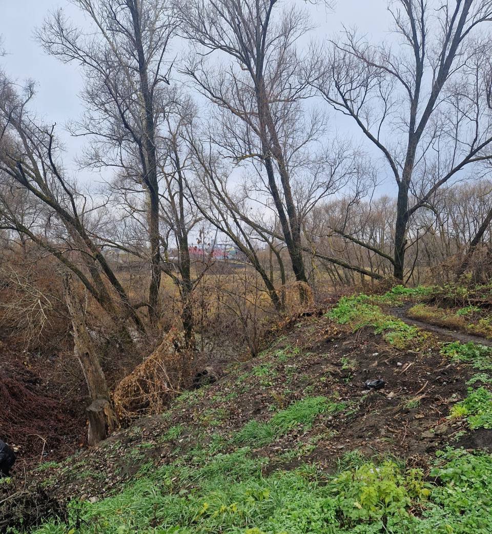 Прокуратура Земетчинского района обеспечила ликвидацию несанкционированной свалки в водоохранной зоне реки Машня Прокуратура Земетчинского района обеспечила ликвидацию несанкционированной свалки в водоохранной зоне реки Машня