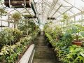 Как обновление грунта в теплице может изменить вашу дачу: советы и рекомендации