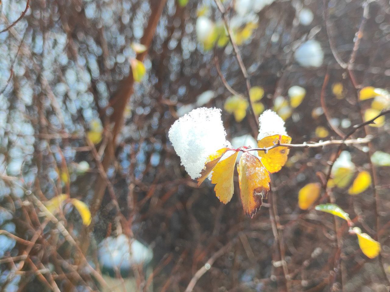 В ночь на воскресенье, 16 ноября, в Пензе на улице Циолковского «Лада» врезалась в ограждение Комсомольского парка В ночь на воскресенье, 16 ноября, в Пензе на улице Циолковского «Лада» врезалась в ограждение Комсомольского парка
