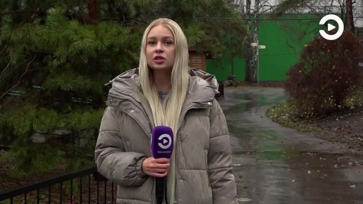 В Международный день защиты белок узнаем, как и от кого их нужно защищать