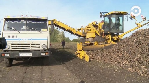 В Пензенской области подвели предварительные итоги уборочной кампании