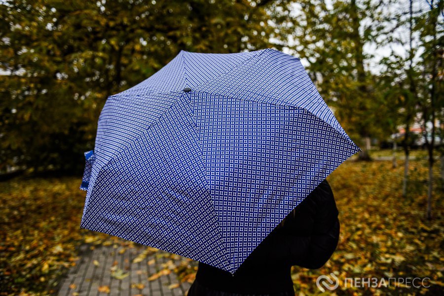 В Пензе 17 ноября ожидается до +8 градусов и небольшой дождь
