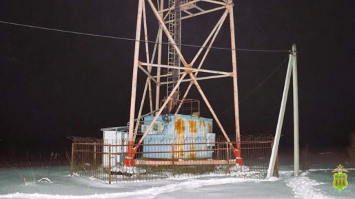 40-летний москвич, который в феврале поджег вышку сотовой связи в селе Ива Нижнеломовского района, признан невменяемым