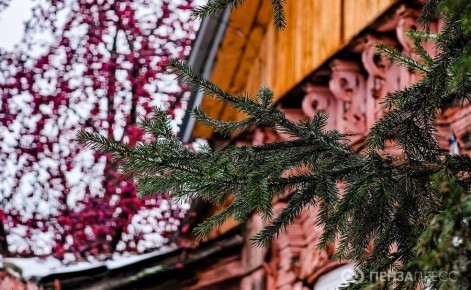 Прогулка по улице Ключевского поздней осенью