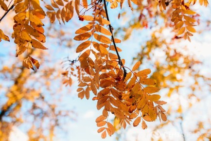 В Пензе 18 ноября ожидается до +12 градусов и дождь