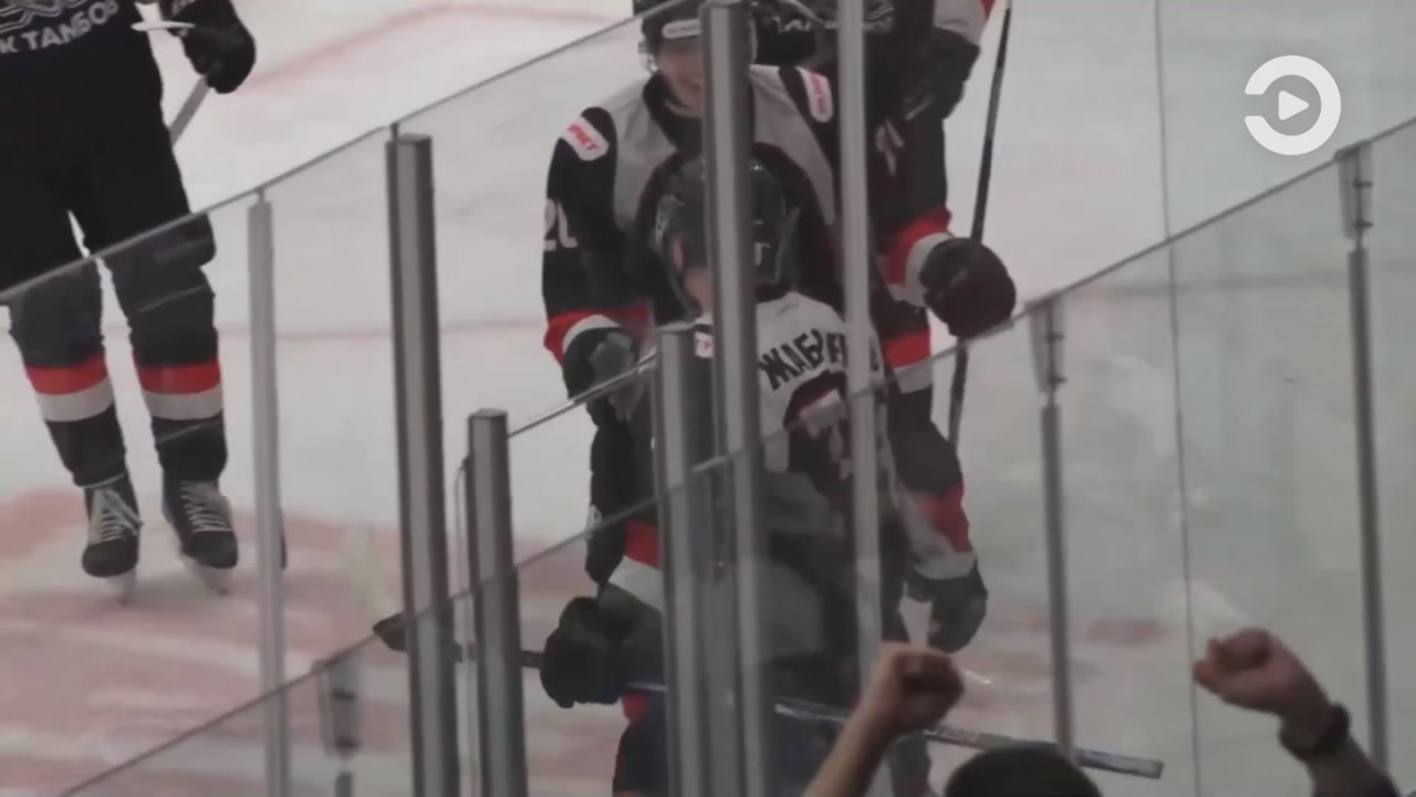 «Дизель» одержал победу над «Тамбовом» в гостевом матче чемпионата ВХЛ