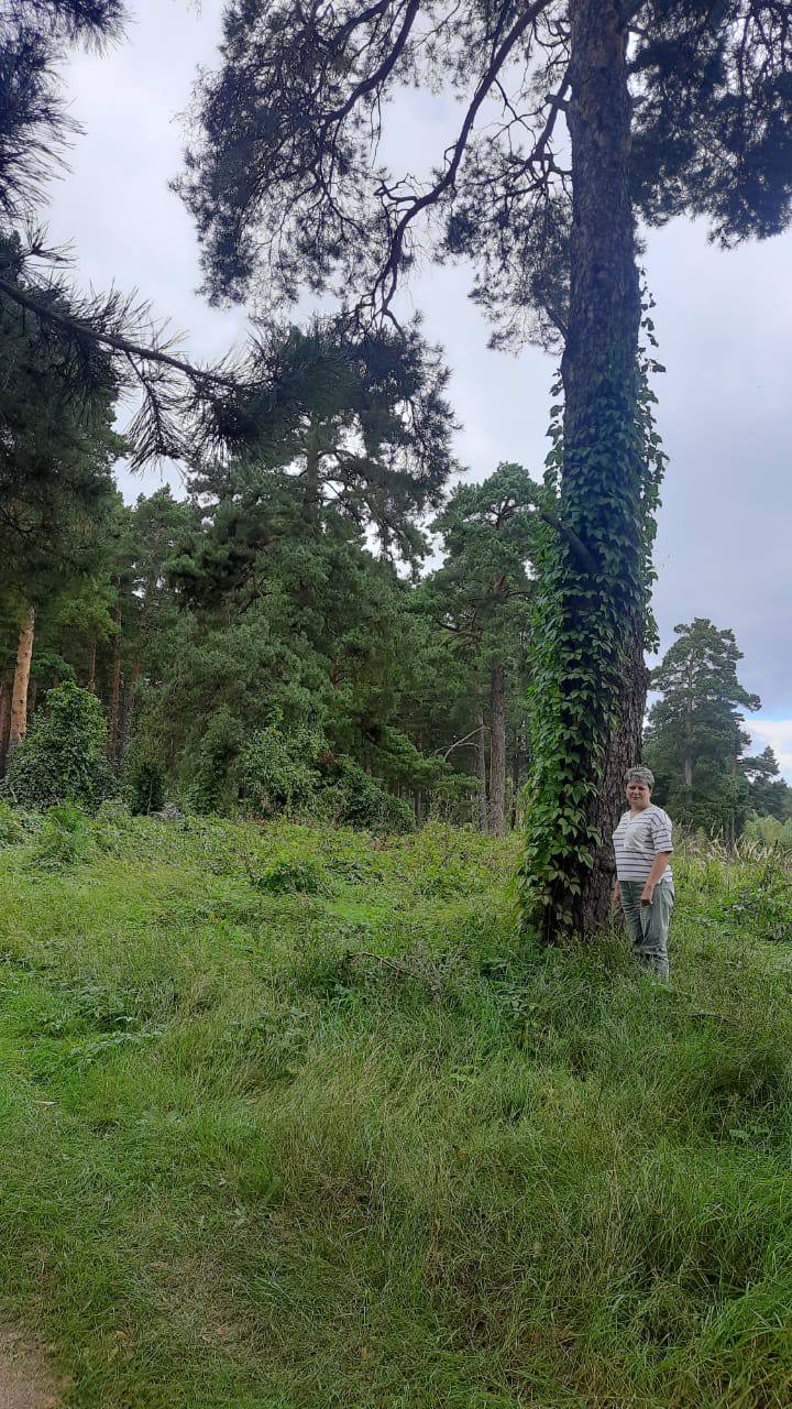 «Где родился, там и пригодился» - интервью с секретарем УИК № 617 Лунинского района Рыжовой Галиной «Где родился, там и пригодился» - интервью с секретарем УИК № 617 Лунинского района Рыжовой Галиной