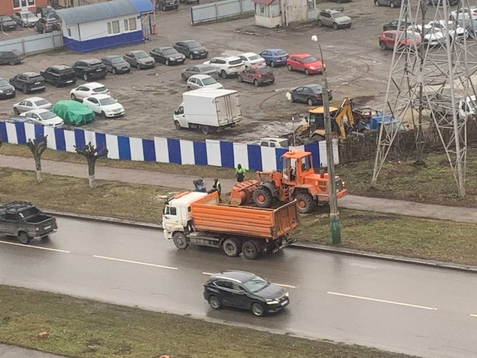 На улице Мира, напротив дома № 15а, снесли больше десятка деревьев