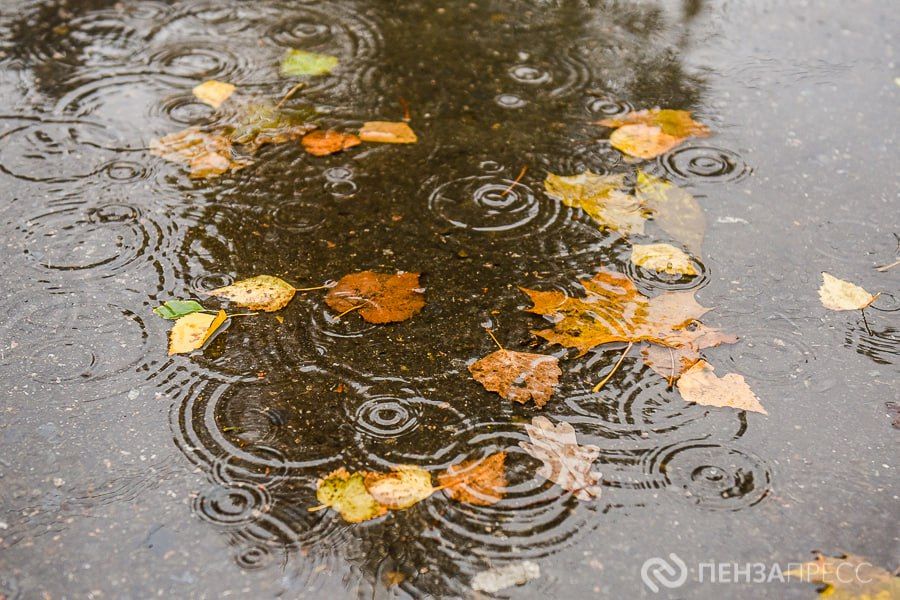 В Пензе 24 ноября ожидается до +8 градусов и небольшой дождь