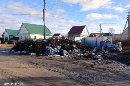 Вот так неприглядно до недавнего времени выглядела улица Белинского в Нижнем Ломове: гора мусора уже возвышалась над заборами местных жителей, но антисанитария мало беспокоила местные власти