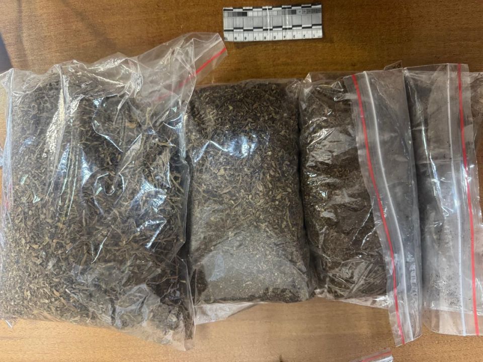 Более 600 граммов марихуаны полицейские изъяли у жителя Пензы