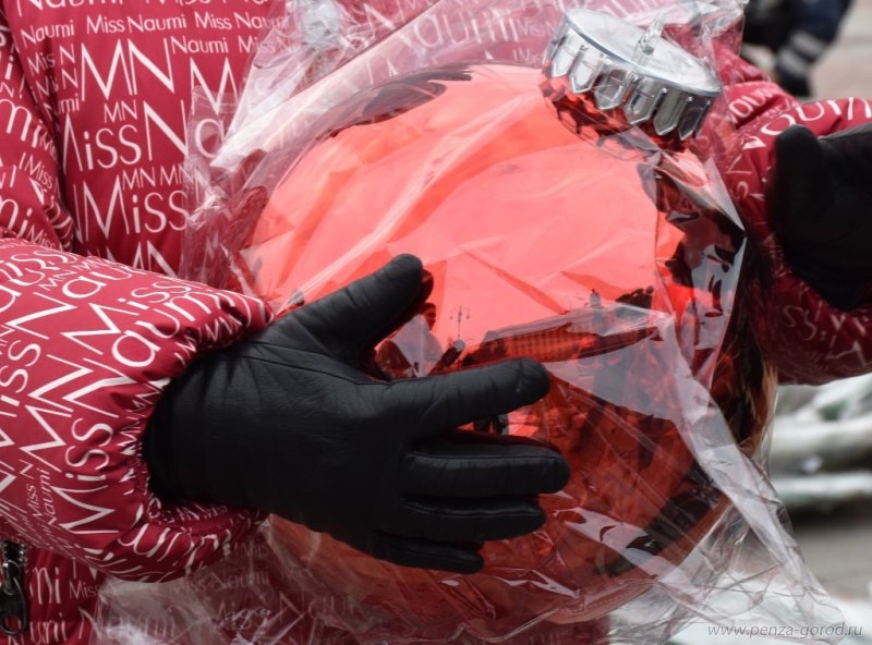 В Пензу приехала новая главная елка В Пензу приехала новая главная елка