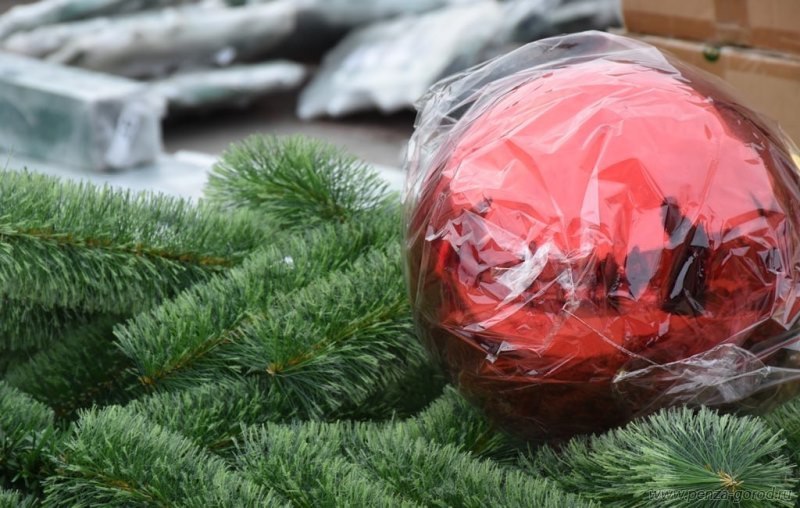 В Пензу приехала новая главная елка