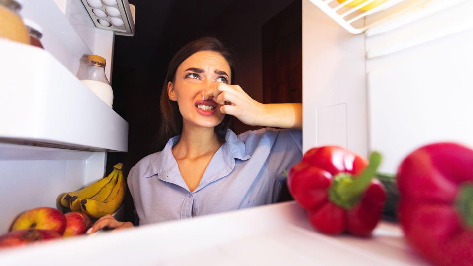 Просто оставьте это в холодильнике, и с запахом будет покончено: копеечная хитрость