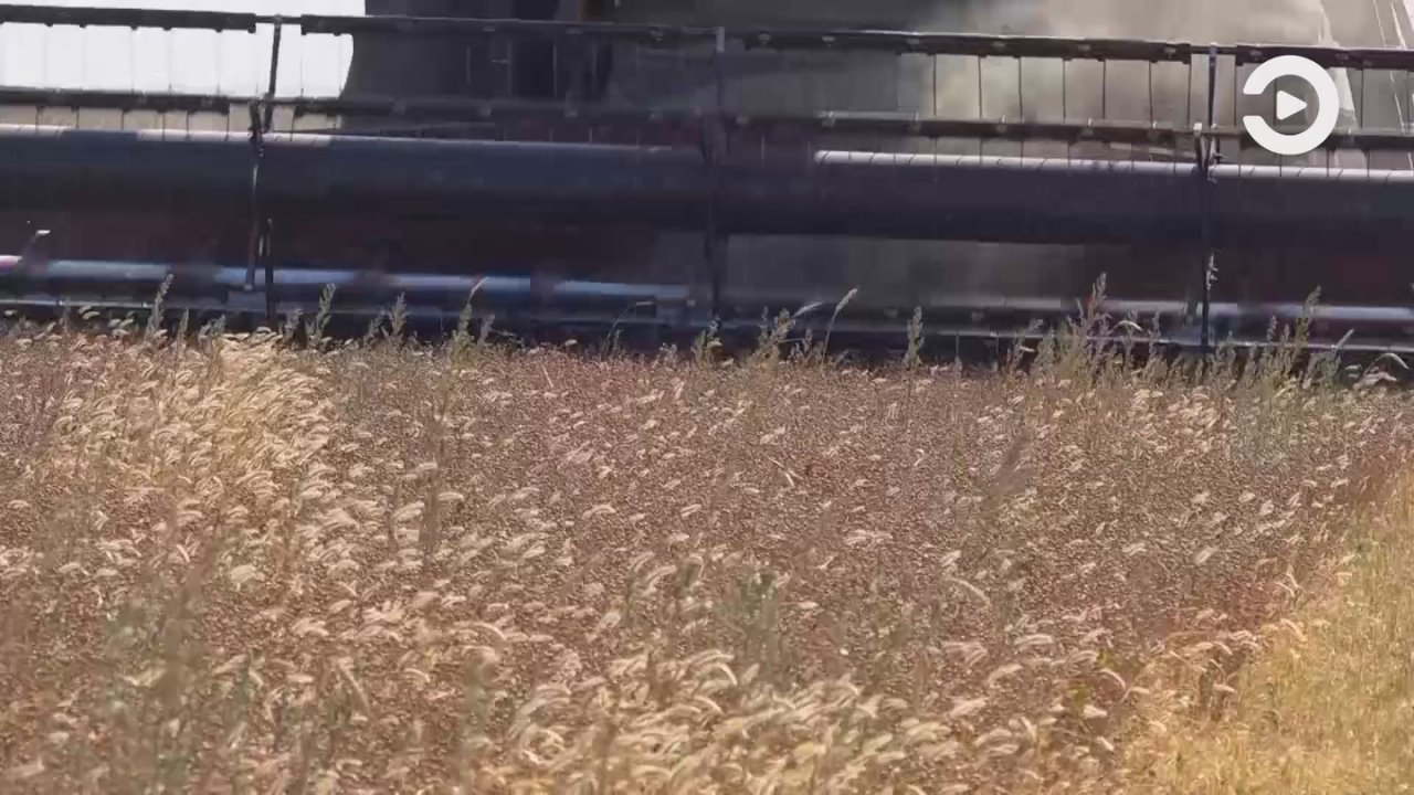 Губернатор Олег Мельниченко наградил лучших работников агропромышленного комплекса