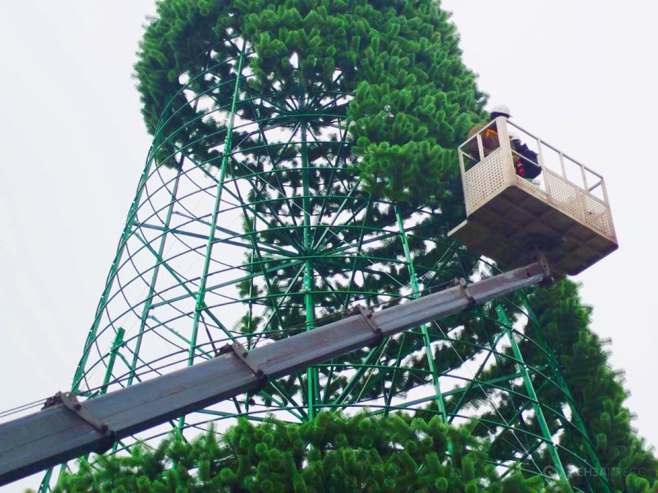 В Пензе завершается установка главной городской елки