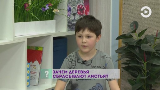 Зачем деревья сбрасывают листья? Секрет раскроют наши маленькие эксперты! Они изучили этот вопрос со всей серьёзностью!