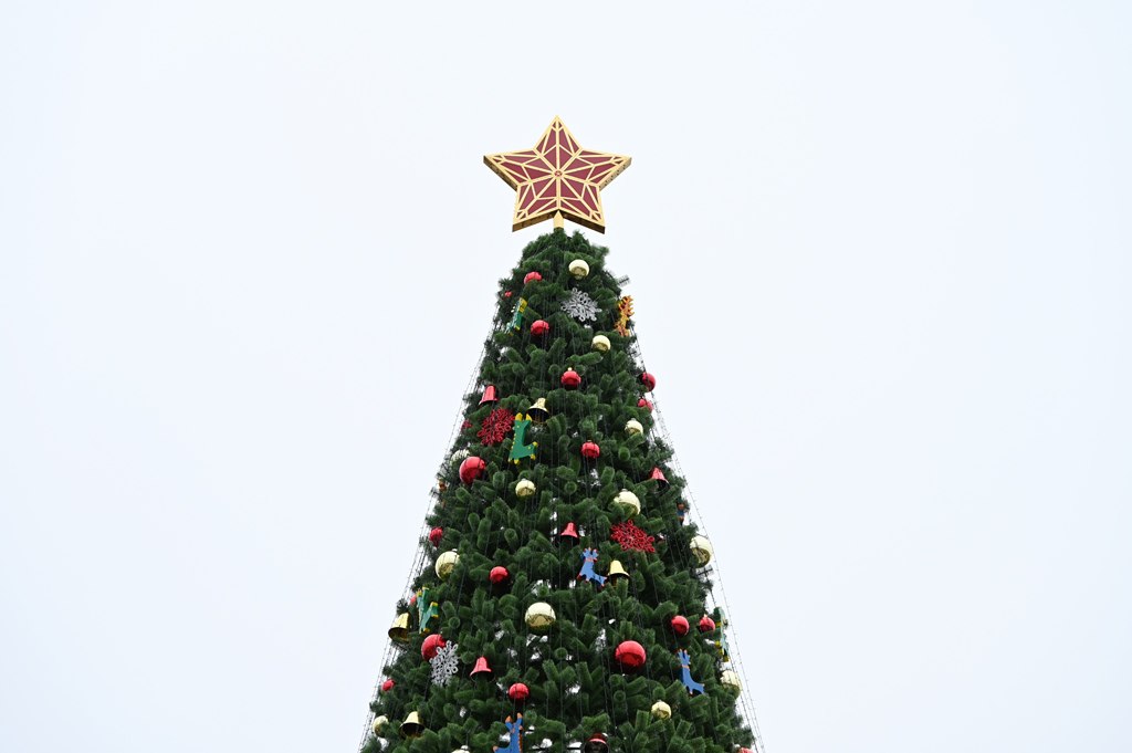 Олег Денисов: Главная ёлка города готова Олег Денисов: Главная ёлка города готова