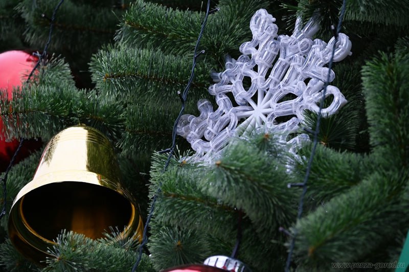 Олег Денисов сообщил о завершении установки новой главной городской елки Олег Денисов сообщил о завершении установки новой главной городской елки