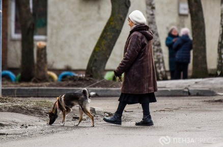 Стал известен график выплат пенсий и пособий пензенцам в декабре