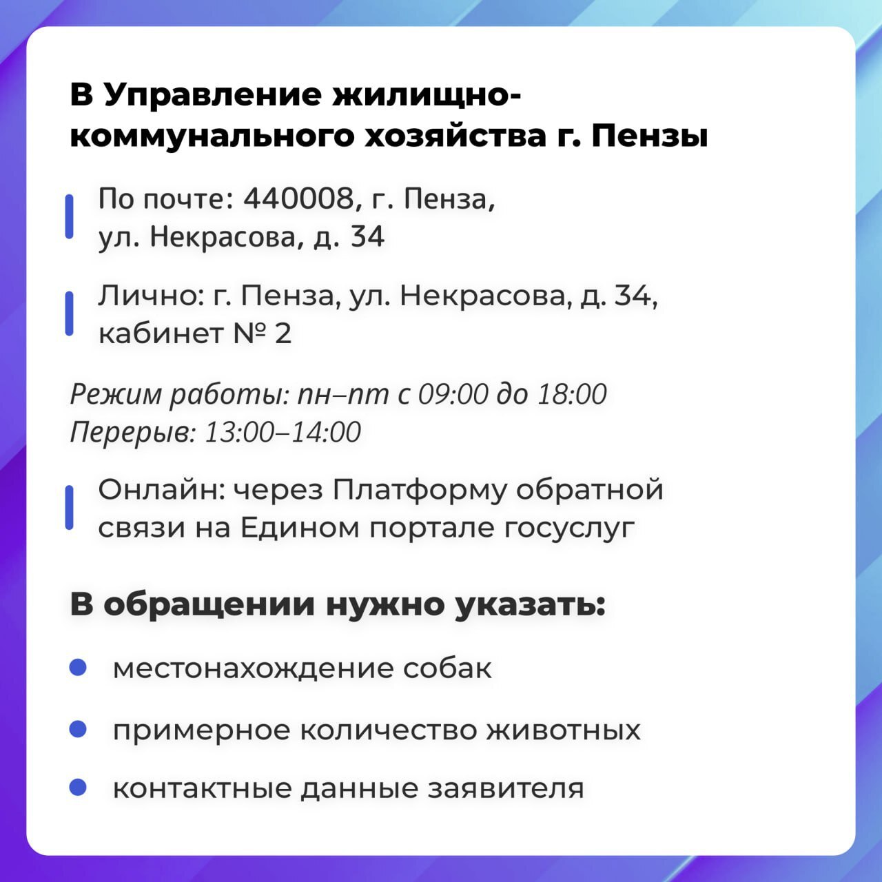 Если вы увидели стаю бродячих собак или в вашем дворе много бездомных — не оставайтесь равнодушными! Это важно для вашей безопасности и безопасности детей Если вы увидели стаю бродячих собак или в вашем дворе много бездомных — не оставайтесь равнодушными! Это важно для вашей безопасности и безопасности детей