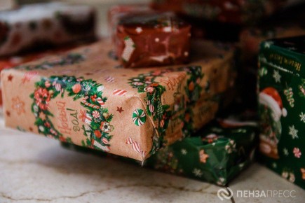 Как пензенцы готовятся к Новому году: результаты опроса
