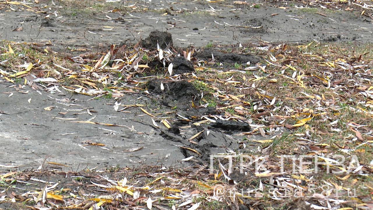 В Пензе массово сносят игровые площадки В Пензе массово сносят игровые площадки