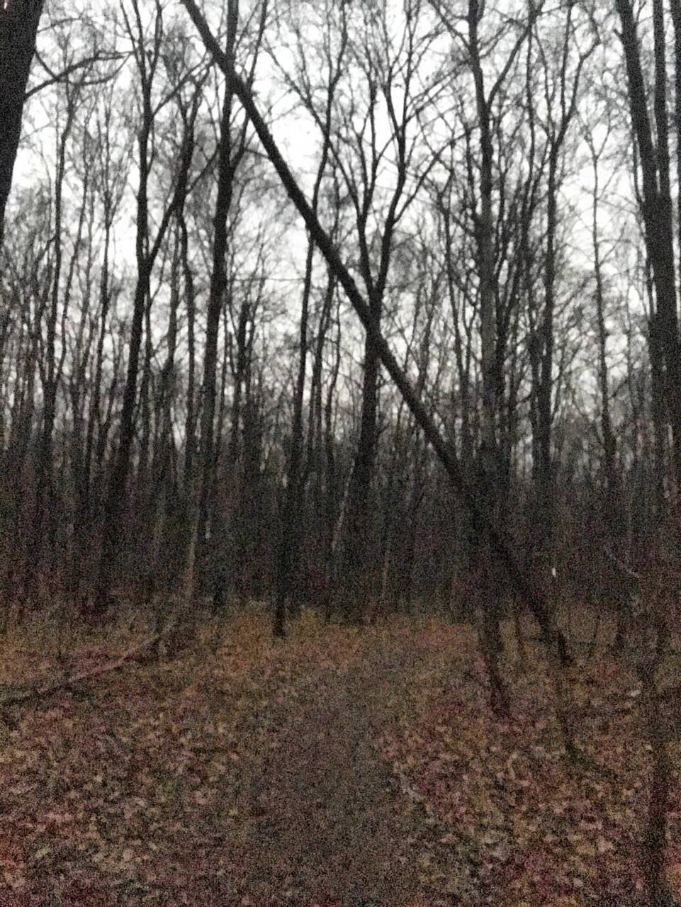 Опасность в районе Олимпийской аллеи