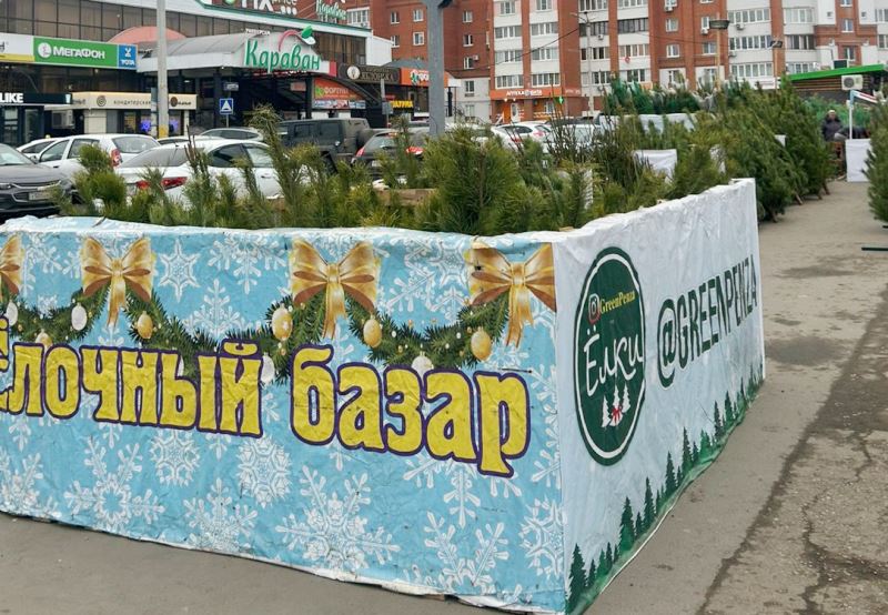 Начали работу первые елочные базары Начали работу первые елочные базары