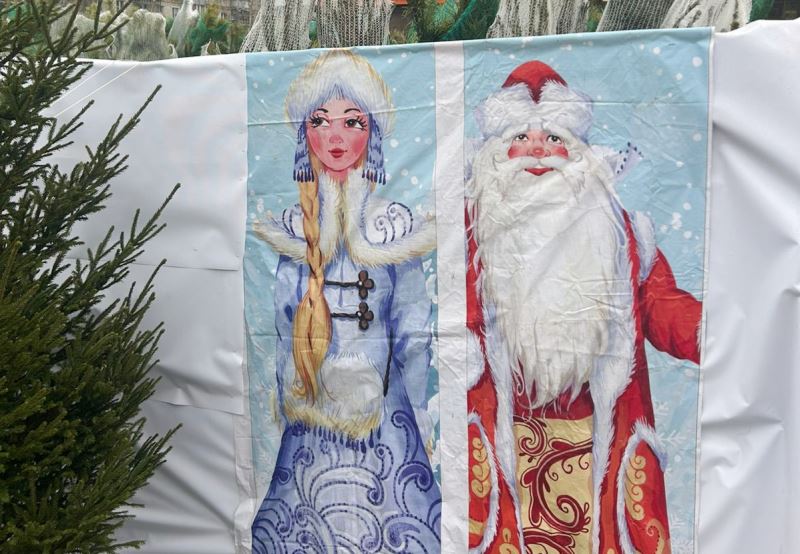 Начали работу первые елочные базары Начали работу первые елочные базары