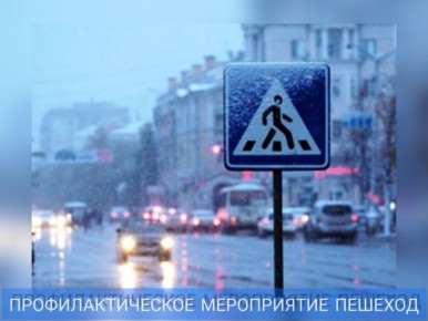 Сотрудники Пензенской Госавтоинспекции подвели итоги оперативно-профилактических мероприятий направленных на профилактику дорожно-транспортных происшествий с участием пешеходов