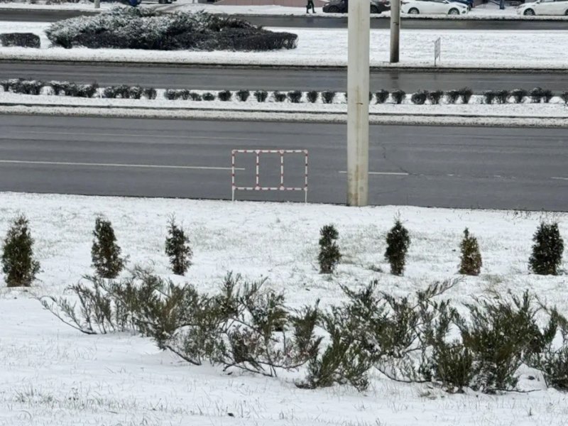 В районе монумента «Глобус» неизвестные выкопали туи