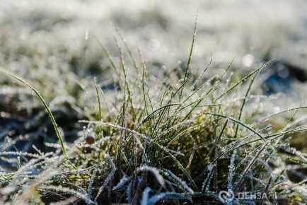 В Пензе 11 декабря ожидается до +1 градуса и мокрый снег